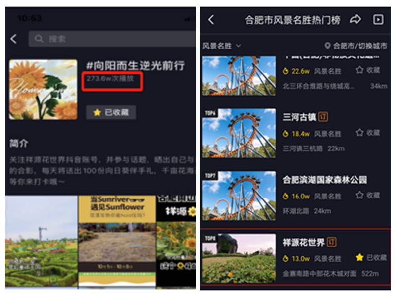 1602307898708656SqmK.jpg 光影魔术手拼图3.jpg